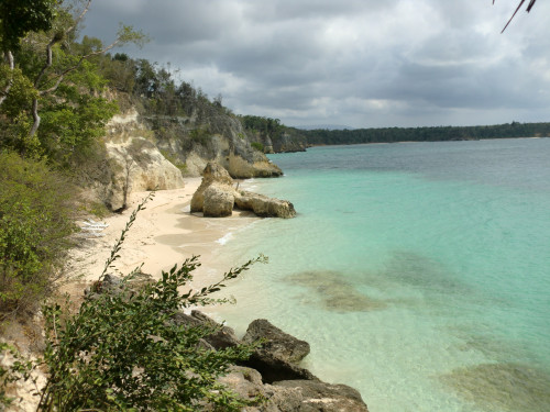island paradise 1 1004215