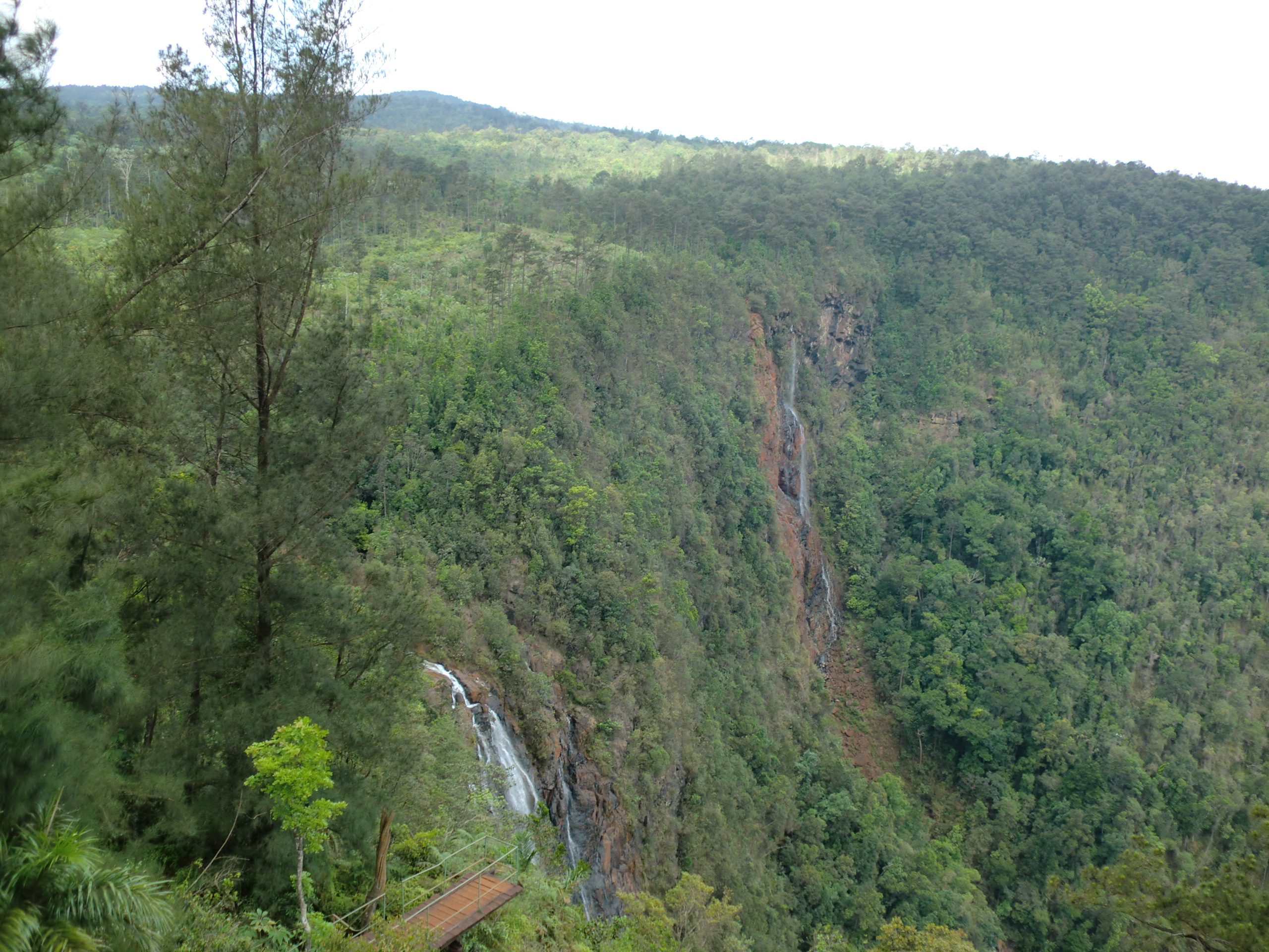 salto del guayabo 1 1004205