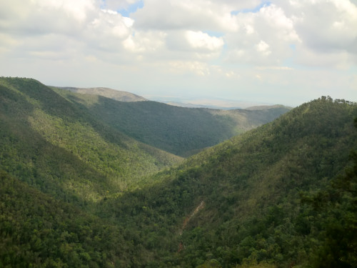 salto del guayabo 3 1004207